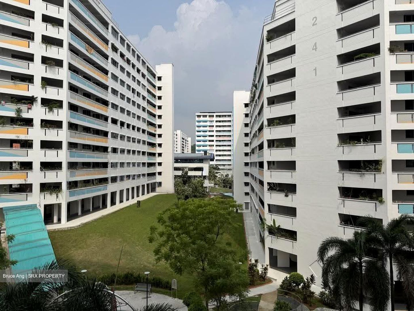 Blk 239 Bukit Panjang Ring Road (Bukit Panjang), HDB Executive #634841901